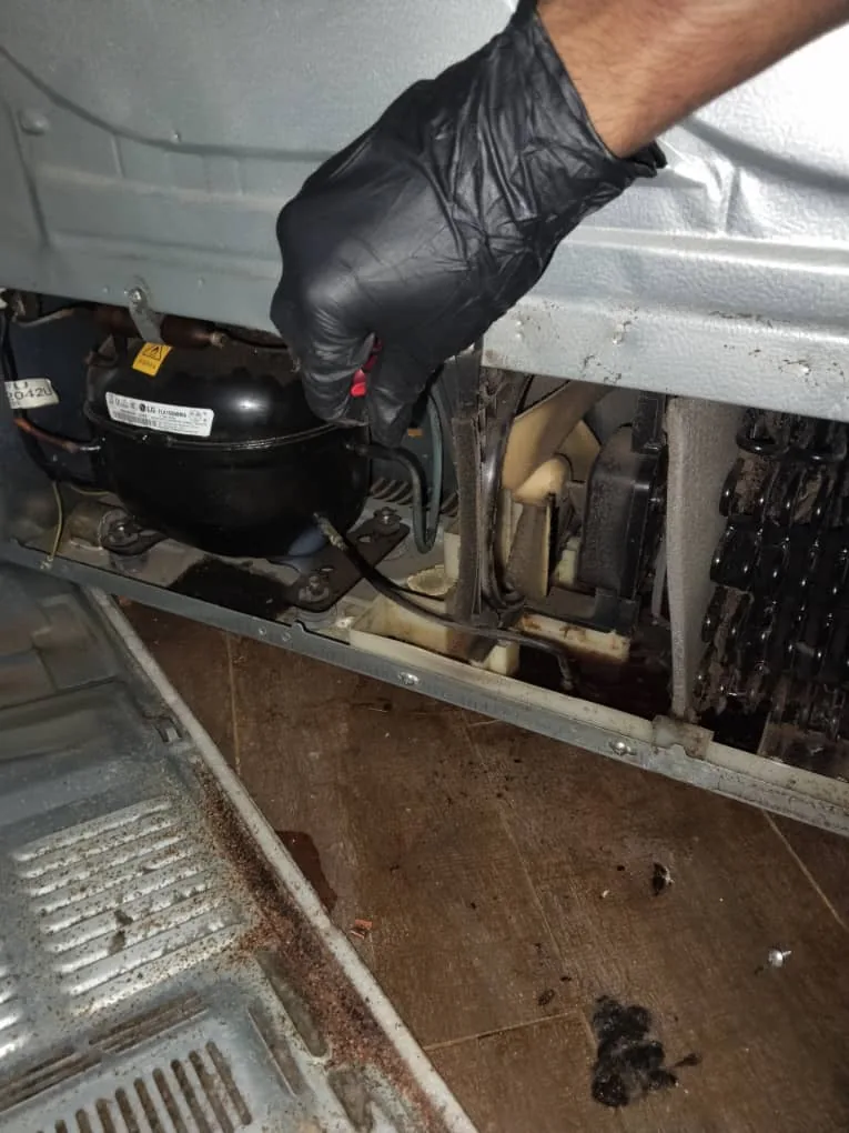 Compressor Service